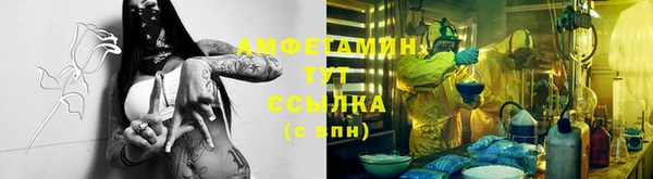 амф Аркадак