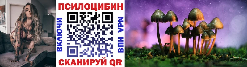 Псилоцибиновые грибы Cubensis  сколько стоит  блэк спрут ссылка  Бавлы 